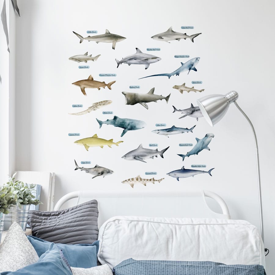 Shark Wall Stickers in a boys bedroom