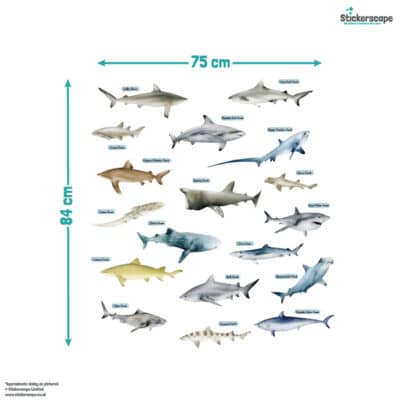 Shark Wall Stickers size guide