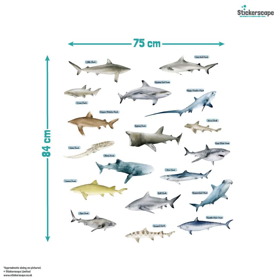 Shark Wall Stickers | Underwater Wall Stickers | Stickerscape