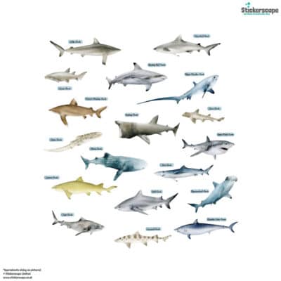 Shark Wall Stickers on a white background