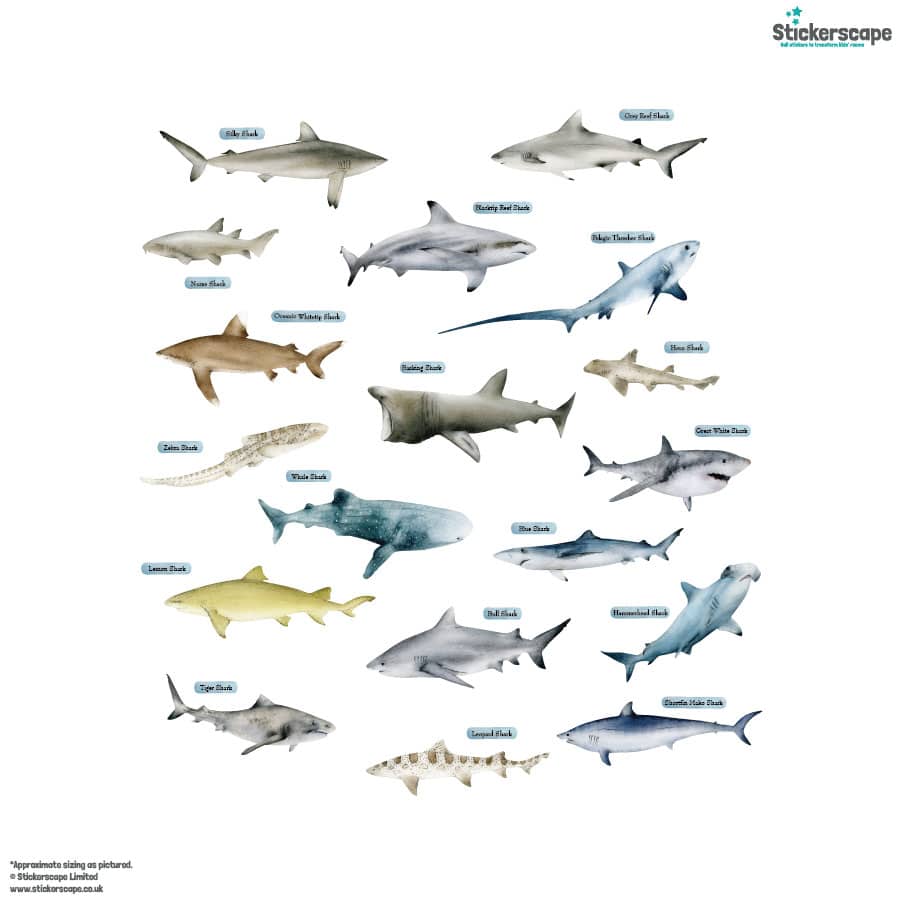 Shark Wall Stickers on a white background