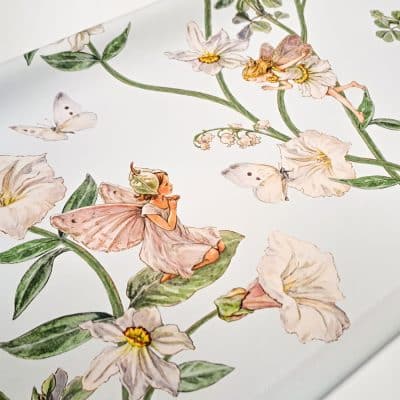 The Narcissus Flower Fairy roller blind close-up blind pattern with fairies on a light blue background