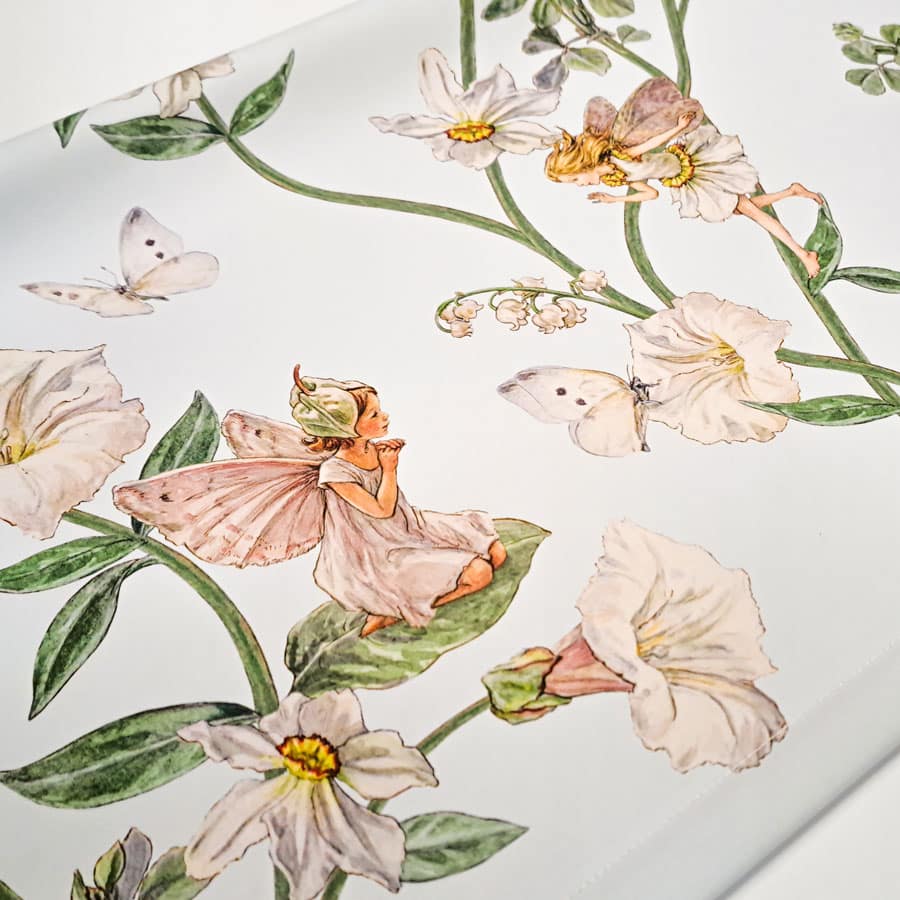 The Narcissus Flower Fairy roller blind close-up blind pattern with fairies on a light blue background