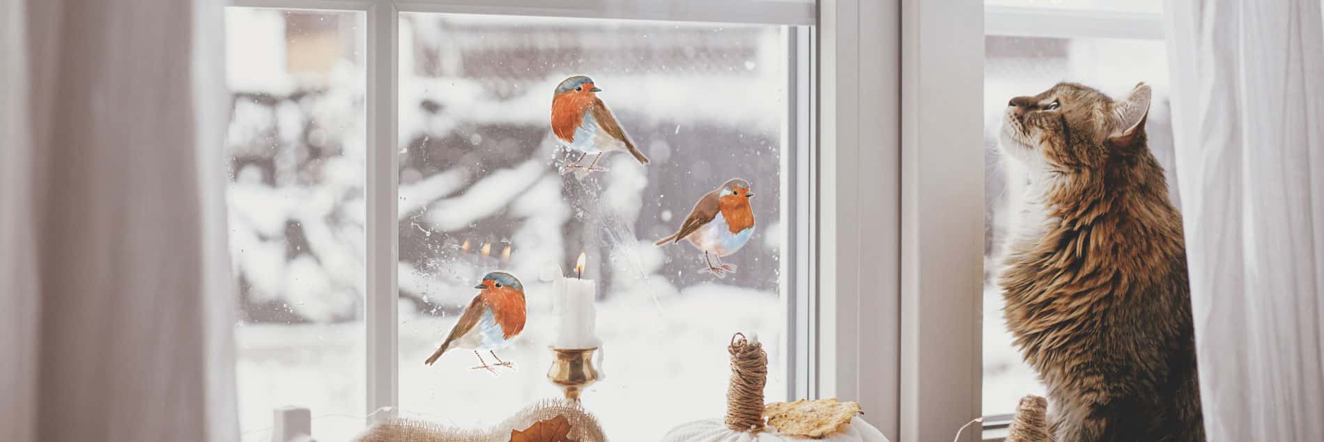 christmas window stickers with robin window stickers on glass with snow outside with a cat in front of the window