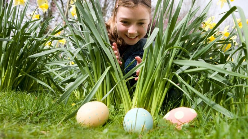 easter-egg-hunt-kids-photo